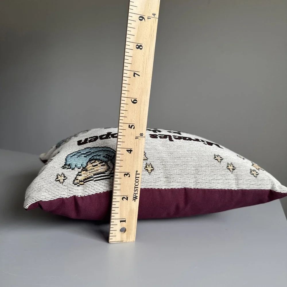 Tapestry Pillow Miracles Happen To Those Who Believe 90's Cottagecore 11x8